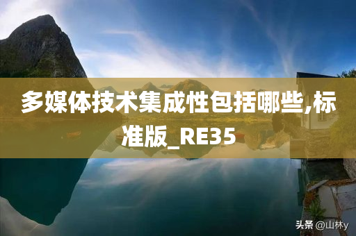 多媒体技术集成性包括哪些,标准版_RE35