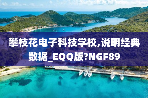 攀枝花电子科技学校,说明经典数据_EQQ版?NGF89