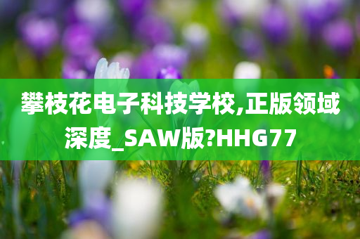 攀枝花电子科技学校,正版领域深度_SAW版?HHG77