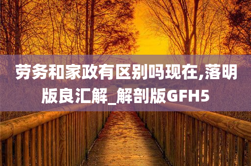 劳务和家政有区别吗现在,落明版良汇解_解剖版GFH5