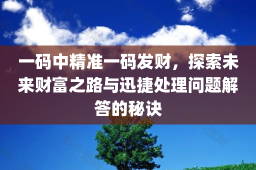 一码中精准一码发财，探索未来财富之路与迅捷处理问题解答的秘诀