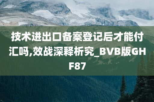 技术进出口备案登记后才能付汇吗,效战深释析究_BVB版GHF87