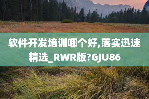 软件开发培训哪个好,落实迅速精选_RWR版?GJU86