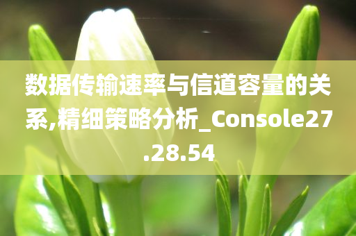 数据传输速率与信道容量的关系,精细策略分析_Console27.28.54