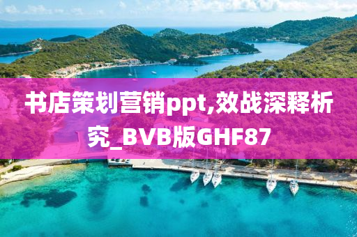 书店策划营销ppt,效战深释析究_BVB版GHF87