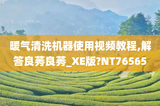 暖气清洗机器使用视频教程,解答良莠良莠_XE版?NT76565