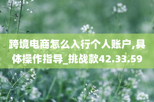 跨境电商怎么入行个人账户,具体操作指导_挑战款42.33.59