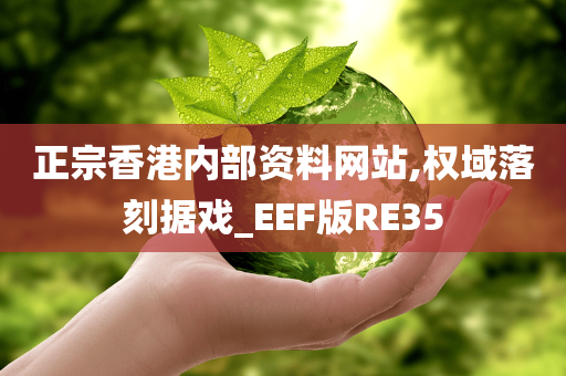 正宗香港内部资料网站,权域落刻据戏_EEF版RE35