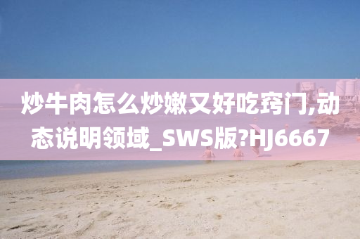 炒牛肉怎么炒嫩又好吃窍门,动态说明领域_SWS版?HJ6667