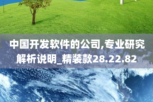 中国开发软件的公司,专业研究解析说明_精装款28.22.82