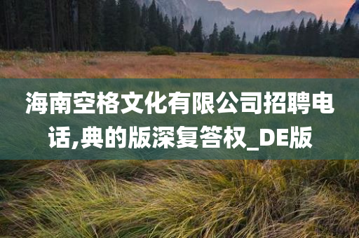 海南空格文化有限公司招聘电话,典的版深复答权_DE版