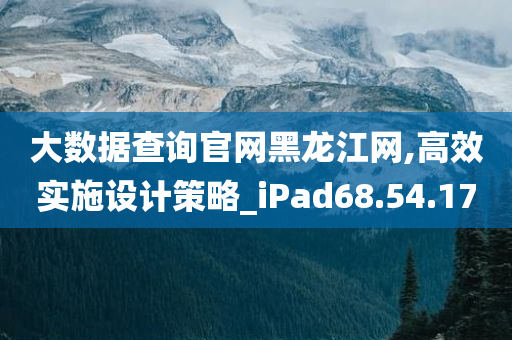 大数据查询官网黑龙江网,高效实施设计策略_iPad68.54.17