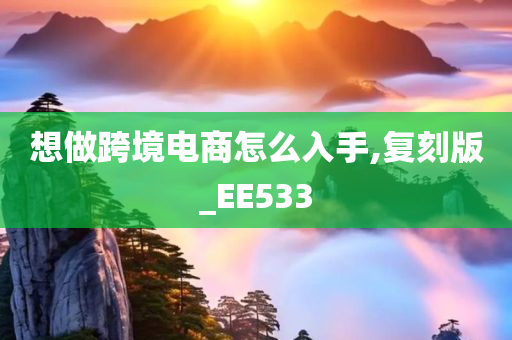 想做跨境电商怎么入手,复刻版_EE533