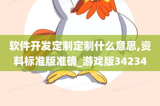 软件开发定制定制什么意思,资料标准版准确_游戏版34234