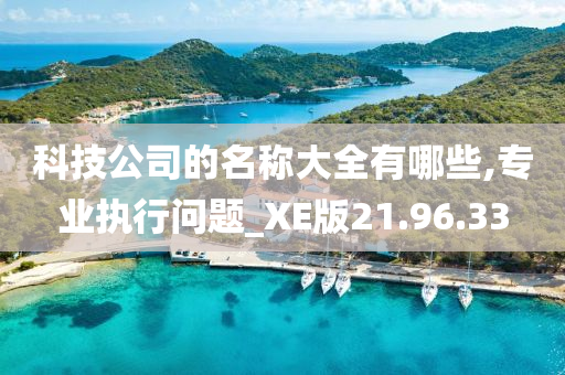 科技公司的名称大全有哪些,专业执行问题_XE版21.96.33