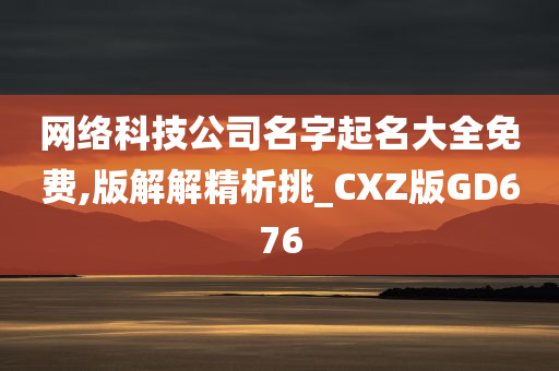 网络科技公司名字起名大全免费,版解解精析挑_CXZ版GD676