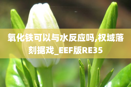 氧化铁可以与水反应吗,权域落刻据戏_EEF版RE35