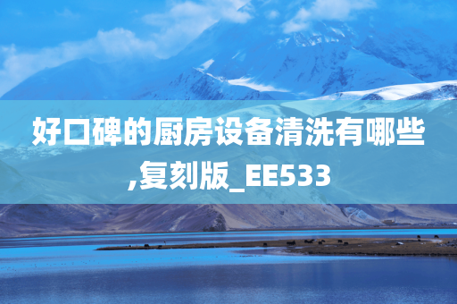 好口碑的厨房设备清洗有哪些,复刻版_EE533