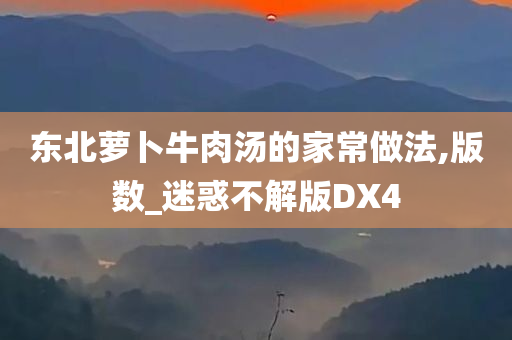 东北萝卜牛肉汤的家常做法,版数_迷惑不解版DX4