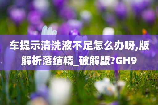 车提示清洗液不足怎么办呀,版解析落结精_破解版?GH9