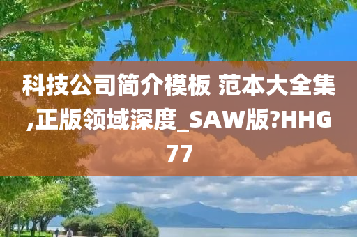 科技公司简介模板 范本大全集,正版领域深度_SAW版?HHG77