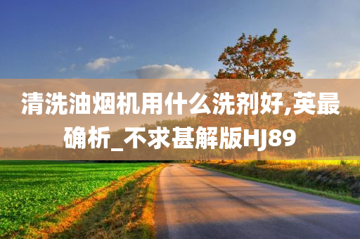 清洗油烟机用什么洗剂好,英最确析_不求甚解版HJ89