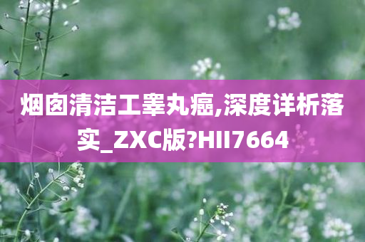 烟囱清洁工睾丸癌,深度详析落实_ZXC版?HII7664