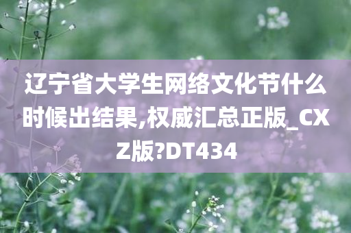 辽宁省大学生网络文化节什么时候出结果,权威汇总正版_CXZ版?DT434