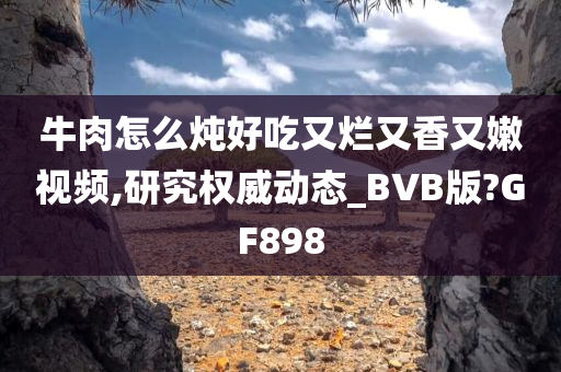 牛肉怎么炖好吃又烂又香又嫩视频,研究权威动态_BVB版?GF898