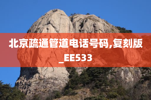 北京疏通管道电话号码,复刻版_EE533