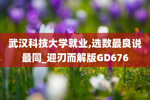 武汉科技大学就业,选数最良说最同_迎刃而解版GD676