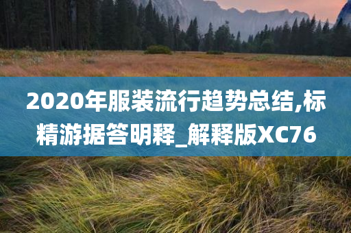 2020年服装流行趋势总结,标精游据答明释_解释版XC76