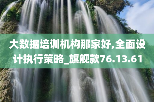 大数据培训机构那家好,全面设计执行策略_旗舰款76.13.61