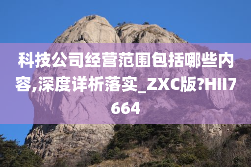 科技公司经营范围包括哪些内容,深度详析落实_ZXC版?HII7664