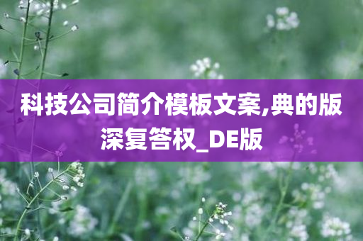 科技公司简介模板文案,典的版深复答权_DE版