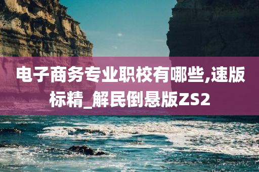 电子商务专业职校有哪些,速版标精_解民倒悬版ZS2