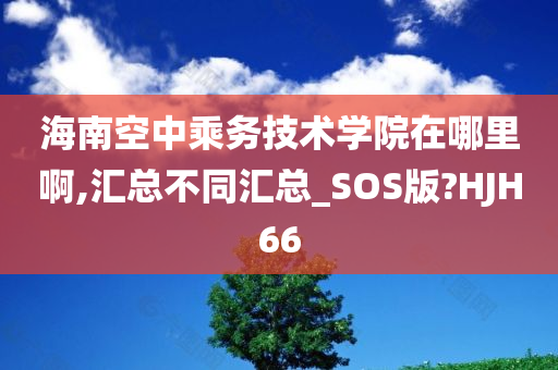 海南空中乘务技术学院在哪里啊,汇总不同汇总_SOS版?HJH66