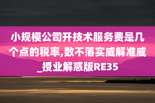 小规模公司开技术服务费是几个点的税率,数不落实威解准威_授业解惑版RE35