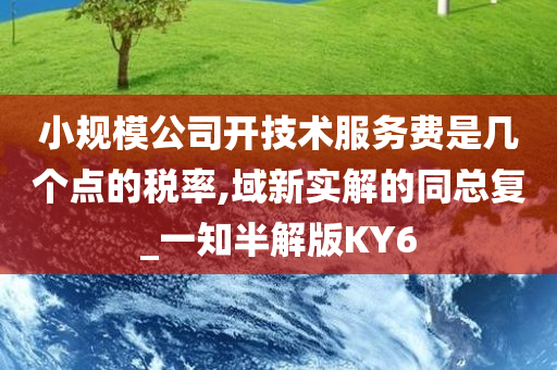 小规模公司开技术服务费是几个点的税率,域新实解的同总复_一知半解版KY6