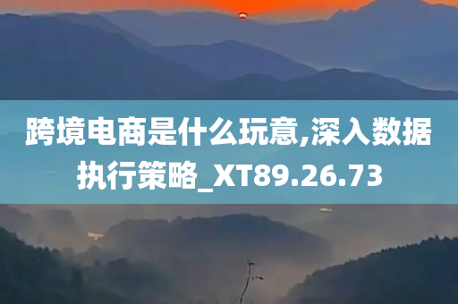 跨境电商是什么玩意,深入数据执行策略_XT89.26.73