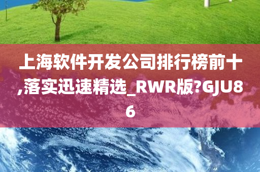 上海软件开发公司排行榜前十,落实迅速精选_RWR版?GJU86