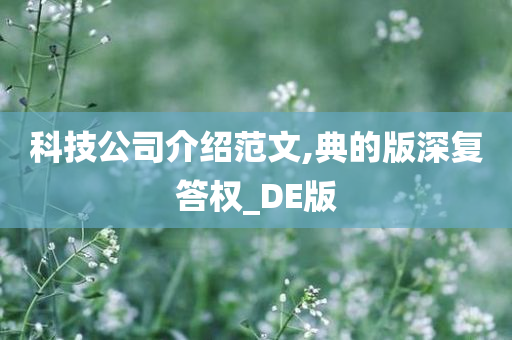 科技公司介绍范文,典的版深复答权_DE版