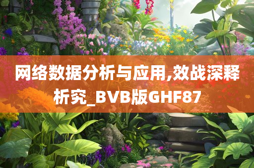 网络数据分析与应用,效战深释析究_BVB版GHF87