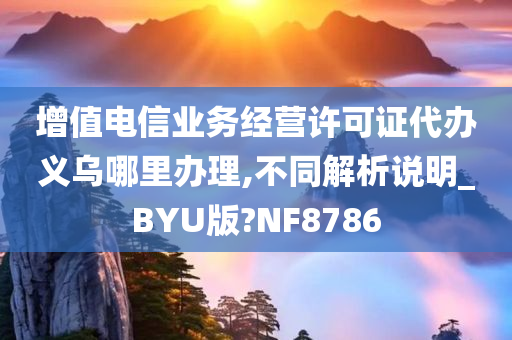 增值电信业务经营许可证代办义乌哪里办理,不同解析说明_BYU版?NF8786