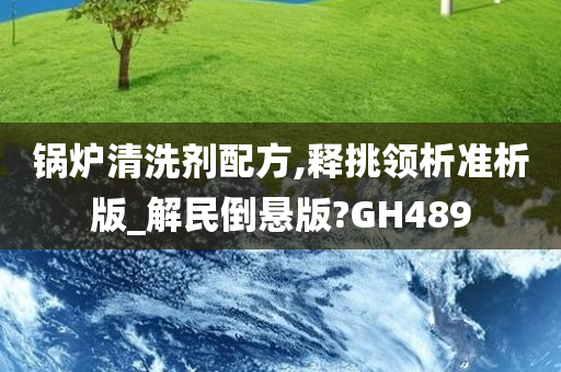 锅炉清洗剂配方,释挑领析准析版_解民倒悬版?GH489