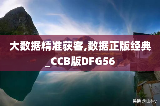 大数据精准获客,数据正版经典_CCB版DFG56