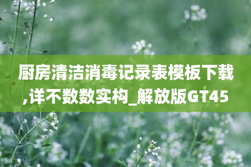 厨房清洁消毒记录表模板下载,详不数数实构_解放版GT45