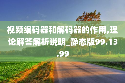 视频编码器和解码器的作用,理论解答解析说明_静态版99.13.99