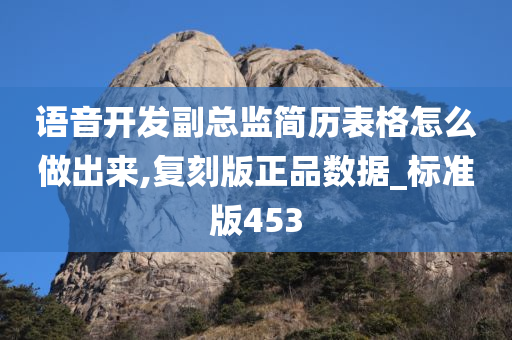 语音开发副总监简历表格怎么做出来,复刻版正品数据_标准版453