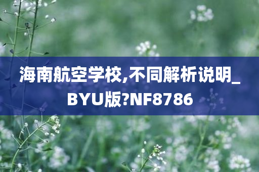 海南航空学校,不同解析说明_BYU版?NF8786